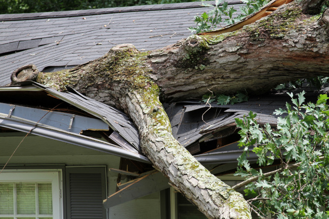 Storm damage tracking with roof shingle structural defects